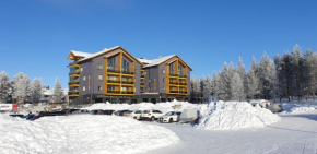Levin Kunkku C 7 in Kittilä